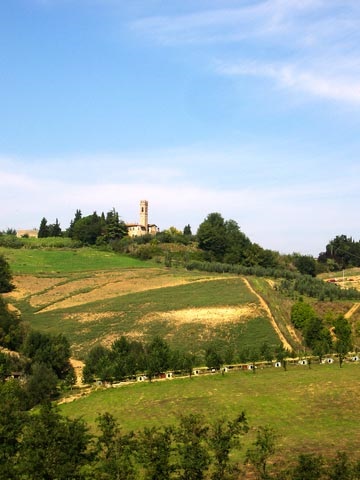 Fattoria San Michele a Torri Chianti Wines Grappa Wines and Local